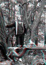 forest 1.jpg