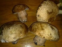 19092010759.jpg