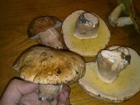 19092010758.jpg