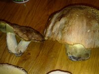 19092010757.jpg