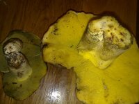 19092010756.jpg