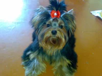 120920102841.webp