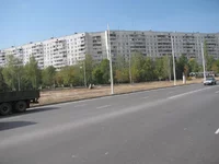 Alex2.webp