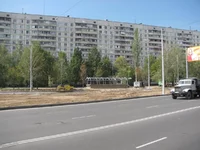 Alex3.webp