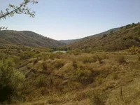 12092010275.jpg