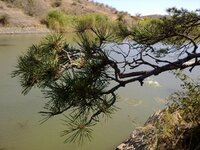 12092010299.jpg