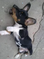 09092010113.webp