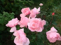 DSC03698.webp