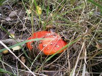 PIC_0027.JPG