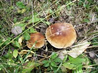PIC_0043.JPG