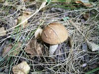 PIC_0051.JPG