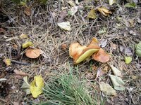 PIC_0055.JPG