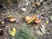 PIC_0055.webp