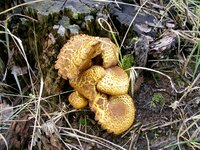 PIC_0120.JPG
