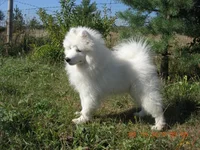 DSCN5231.webp