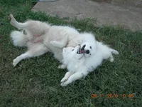 DSCN5361.webp