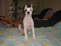 x_0712a9ac.webp