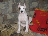 x_efeb5a11.webp