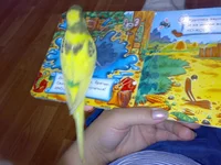 210920102672.webp