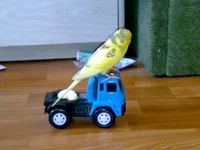210920102658.jpg