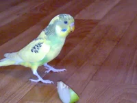 210920102651.webp