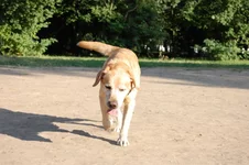 181649-cb178-23763956-m549x500.webp
