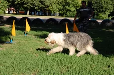 181649-36494-23763970-m549x500.webp