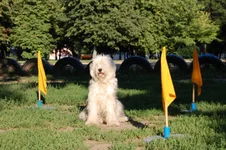 181649-3da24-23763975-m549x500.webp