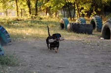 181649-00007-23795531-m549x500.webp