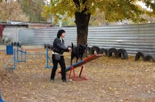 181649-d5d0d-24483774-m549x500.webp