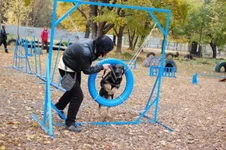 181649-8a3ad-24485647-m549x500.webp