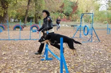 181649-017c6-24485667-m549x500.webp