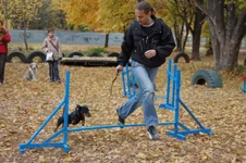 181649-4f738-24487456-m549x500.webp