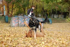 181649-0d7bd-24483572-m549x500.webp