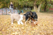 181649-d32d2-24483582-m549x500.webp