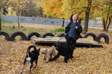 181649-7cd20-24483644-m549x500.webp