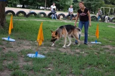 181649-18ce6-21685267-m549x500.webp