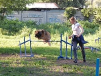 181649-93473-19476257-m549x500.webp