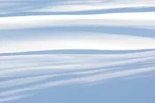 4282022294_73ff95508d_m.webp