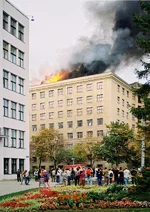 fire.webp