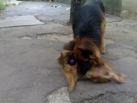 180920102768.webp