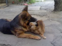 180920102769.webp