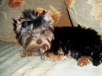 DSCF6801.webp
