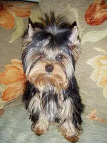 DSCF6810.webp