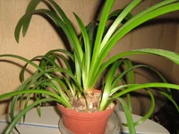 IMG_2179.webp