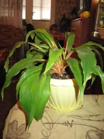 IMG_2177.webp