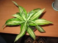 IMG_2187.webp