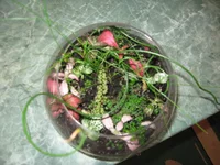 IMG_2209.webp