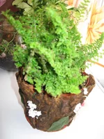IMG_2207.webp