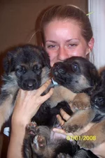 100_0433.webp